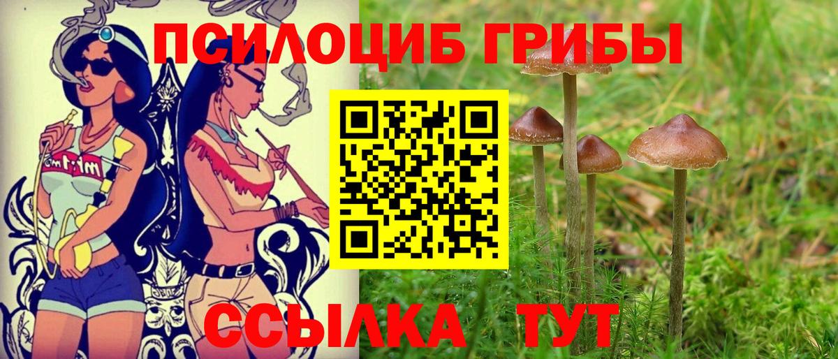 Галлюциногенные грибы прущие грибы  Вход с VPN  Кулебаки 