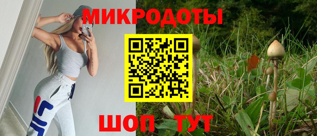 Псилоцибиновые грибы мухоморы Кулебаки